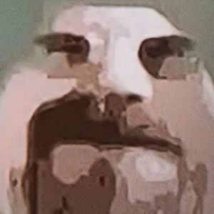 Meet your Posher, Triz